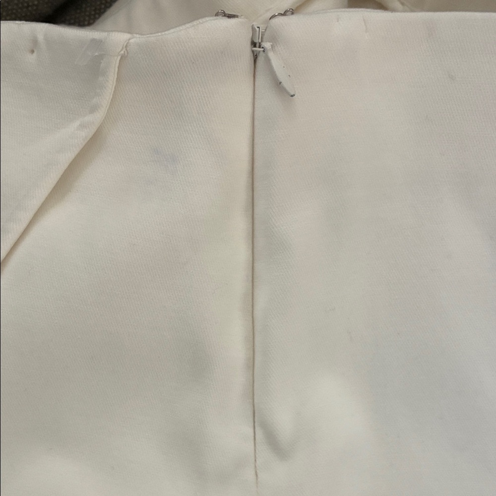 Cuyana Pencil Skirt - Picture 4 of 8
